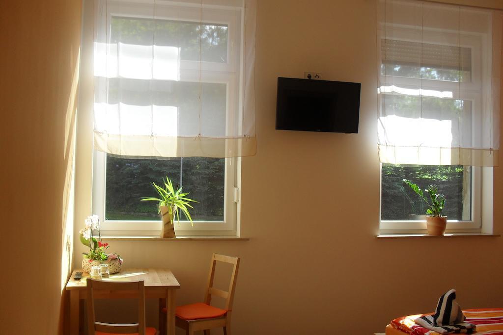 Pension Am Steinberg Muldenstein Room photo